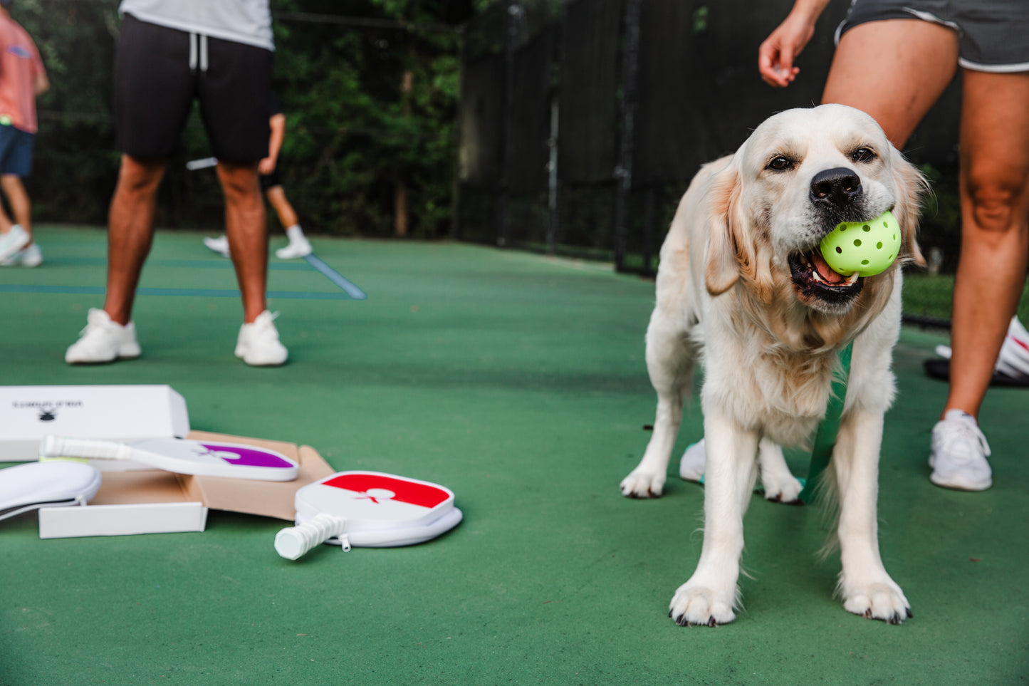 Volo Sports Pickleball Paddle